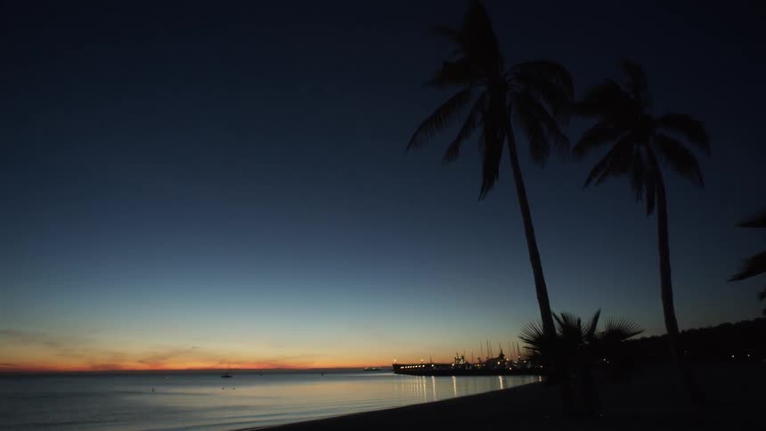Palm trees are swaying in the breeze at a beach at sunset