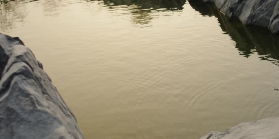 Person fishes in murky water at sunset