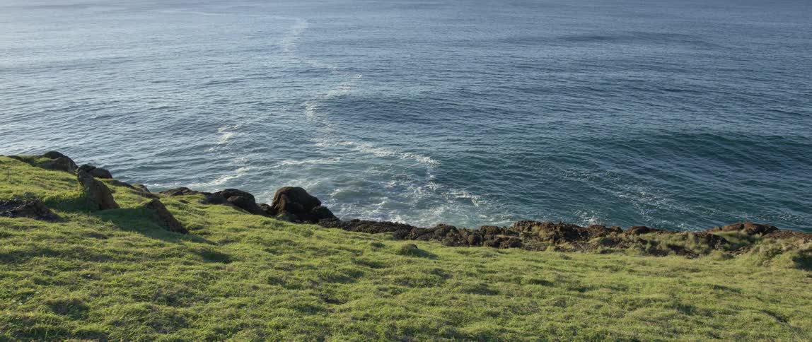 Waves crash against some rocks by a green shore