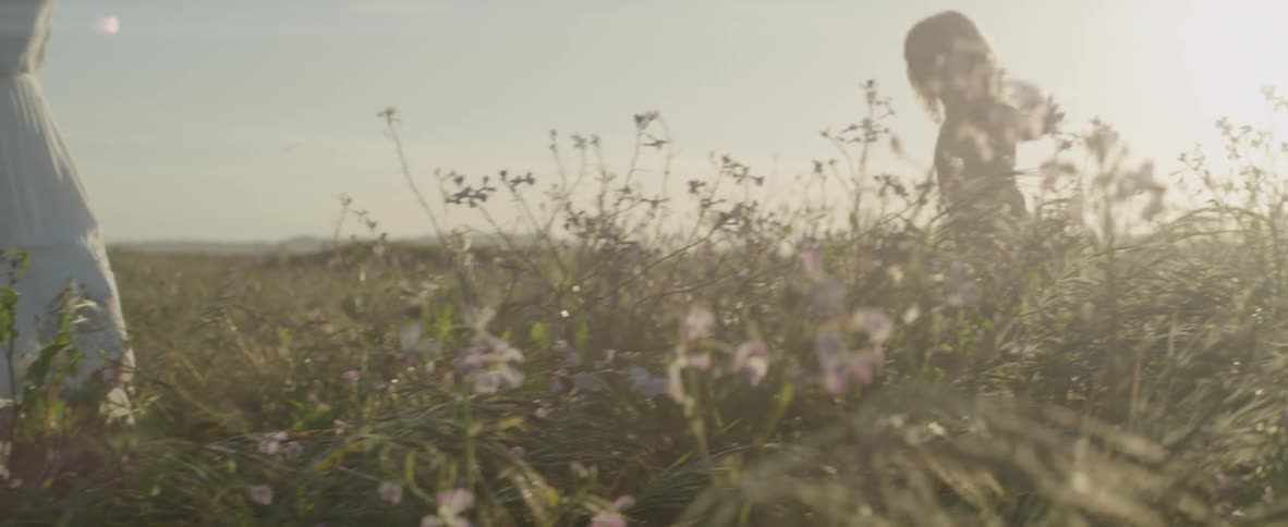 Girls walk in a grassy field at sunset