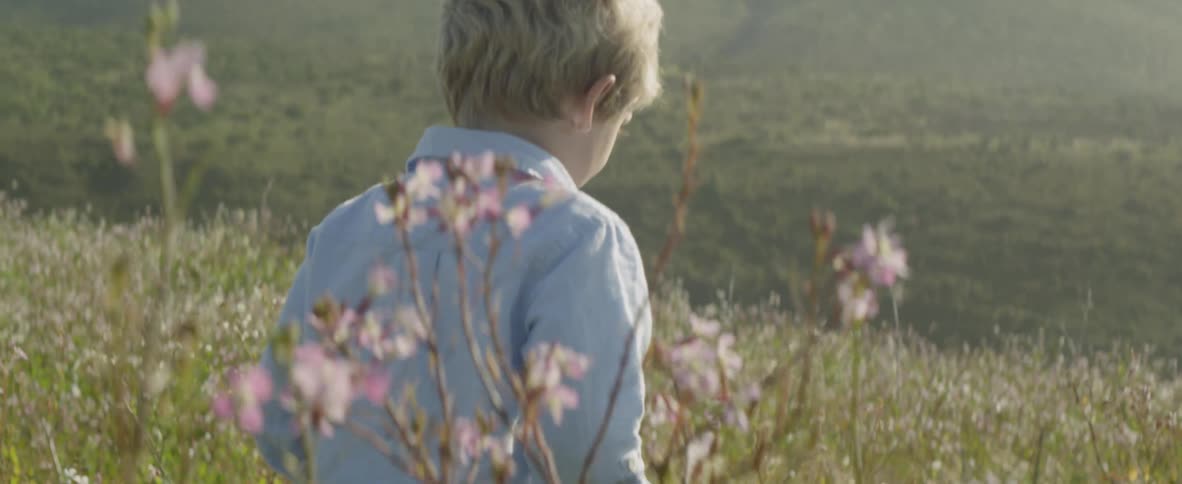 A boy is walking through a field of grass and flowers in daylight