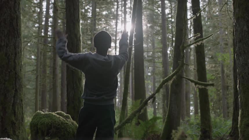 A boy throws a branch into the forest