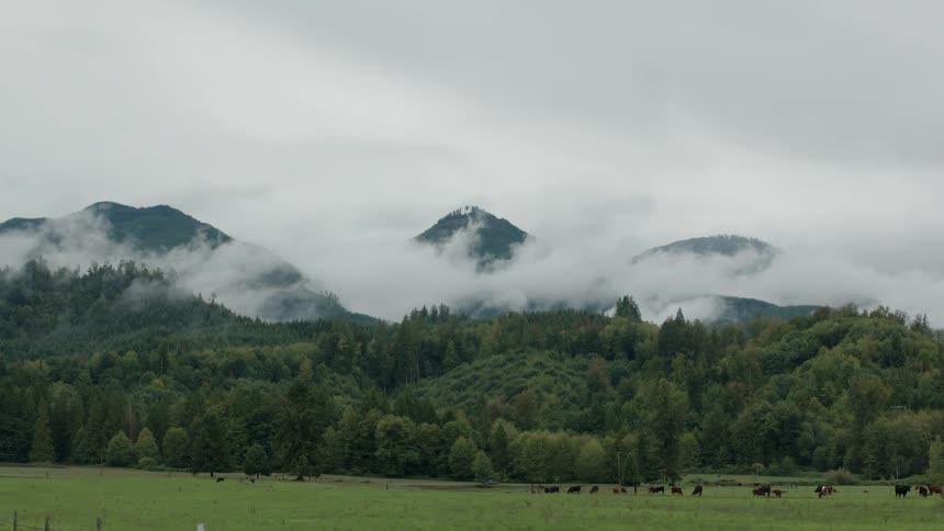 Clouds float above mountains and trees