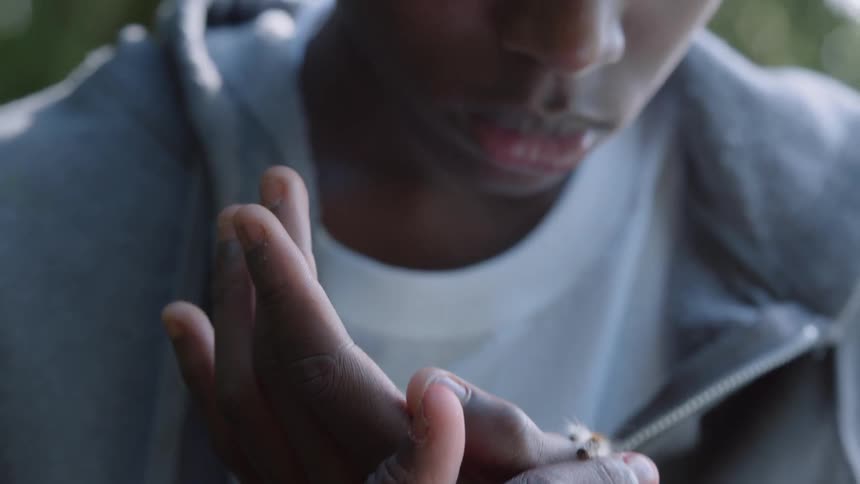 A caterpillar crawls on a child's hands