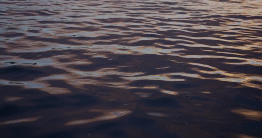 Sunlight reflects off of the surface of an ocean