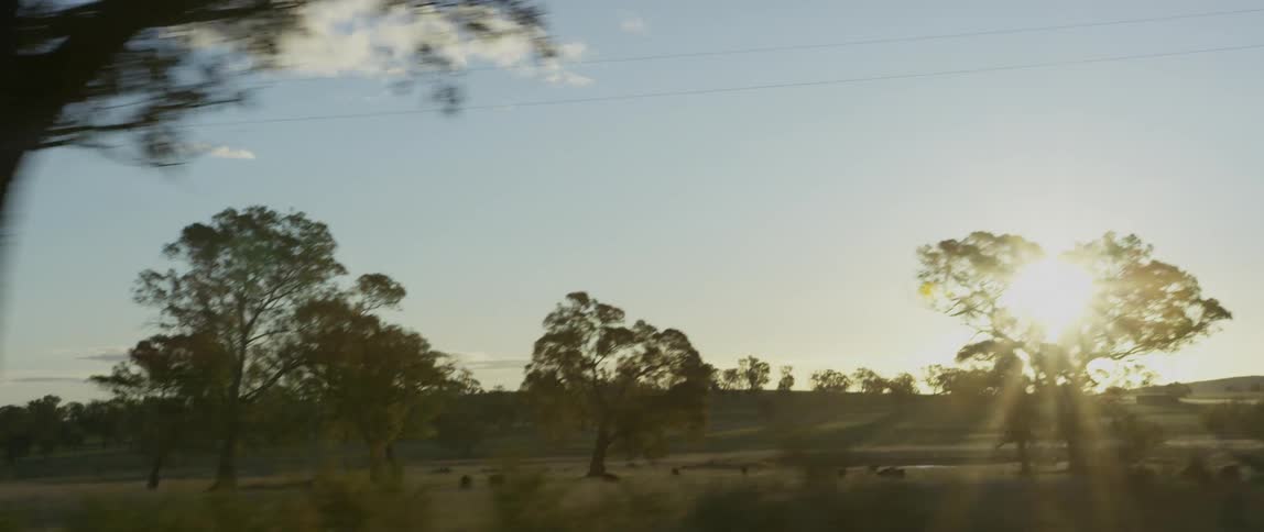 View of a large range with many animals on a sunny day