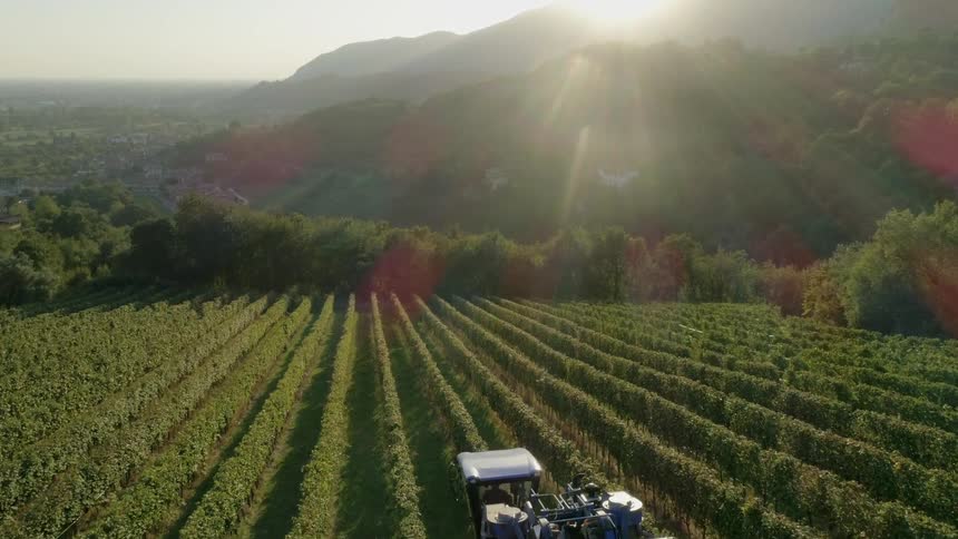 Farm equipment harvesting crops at sunset