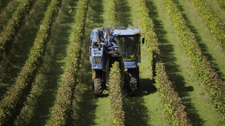 The tractor is working the long fields