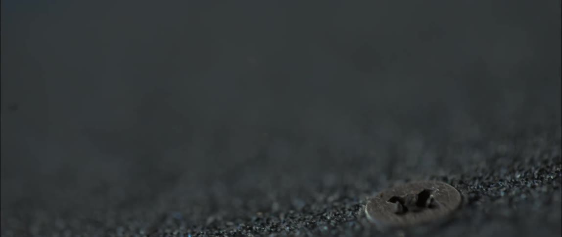 There are screws in the home shingles