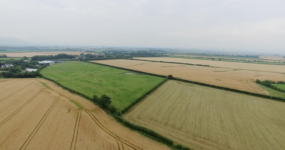 Fields of crops cover a rural landscape