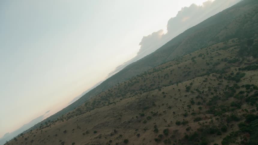 Trees and dirt cover a hilly landscape at sunset