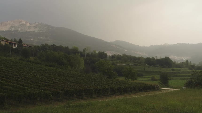 Vast hilly land covered in trees