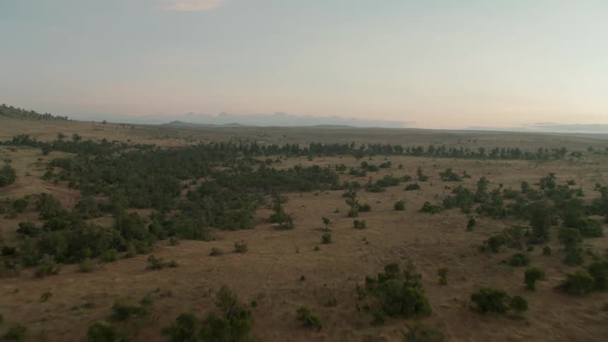 Passing over tree tops and fields