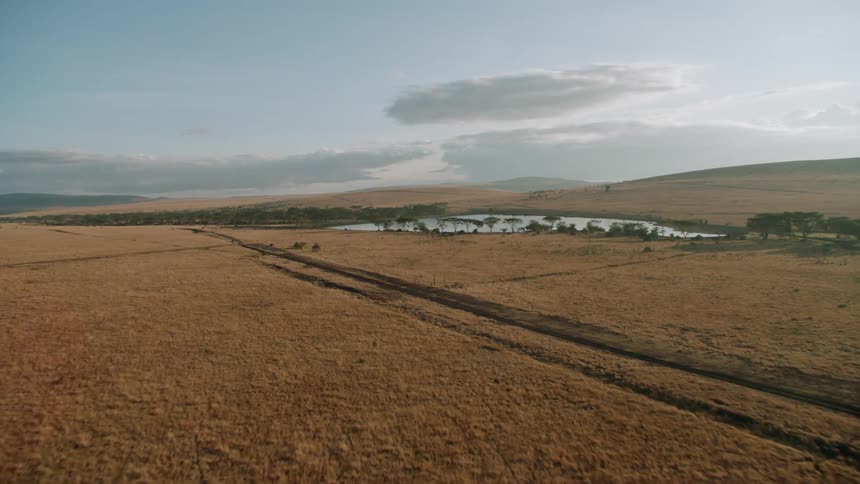 Trees and grass cover the open landscape