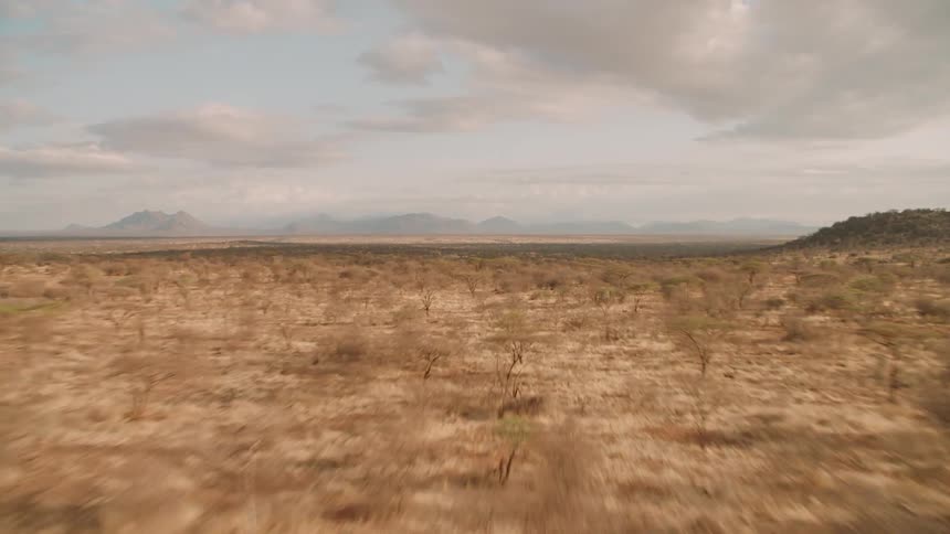 Trees cover the landscape