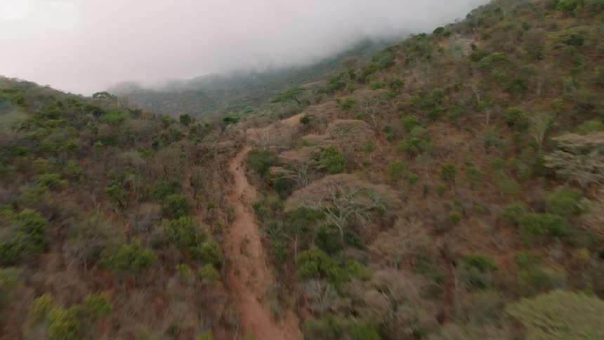 Trees cover the valley between mountains
