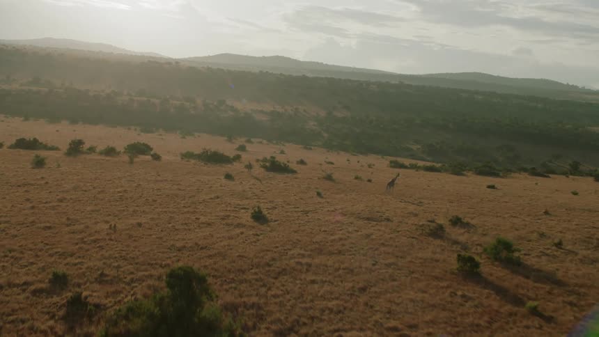 Trees and shrubs cover the landscape