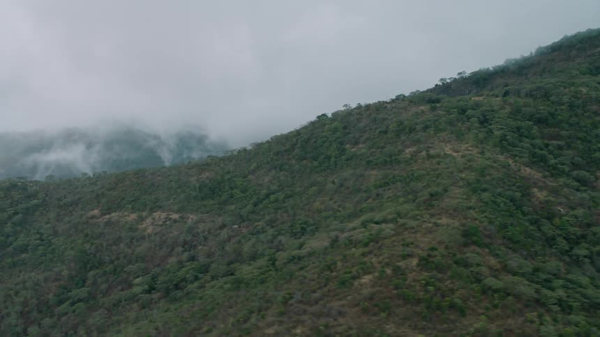 Trees and grass cover the side of the mountain