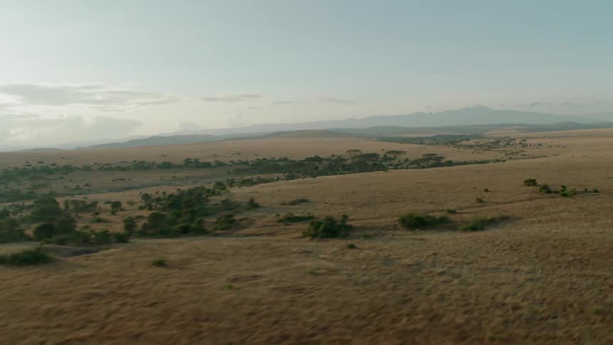 Trees and grass cover a rural landscape