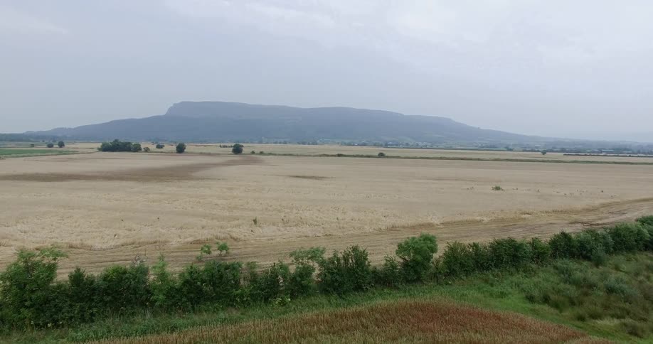 Green fields are separated from brown fields by a line of trees