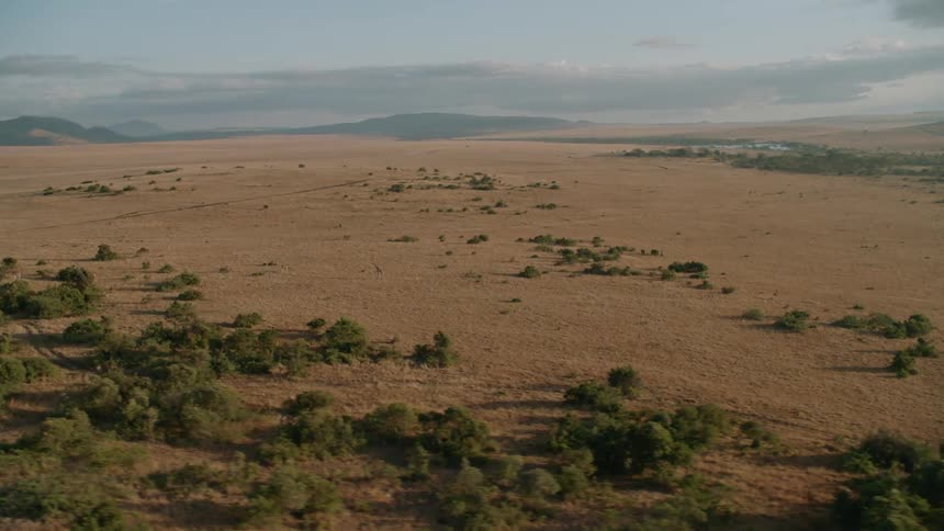 Trees and grass cover the open landscape