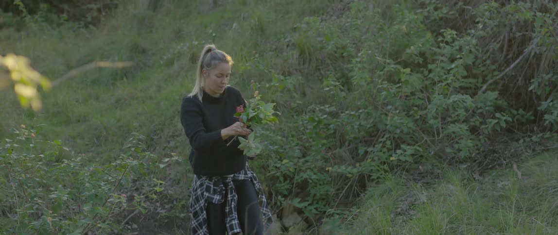 A woman cuts a branch from a plant