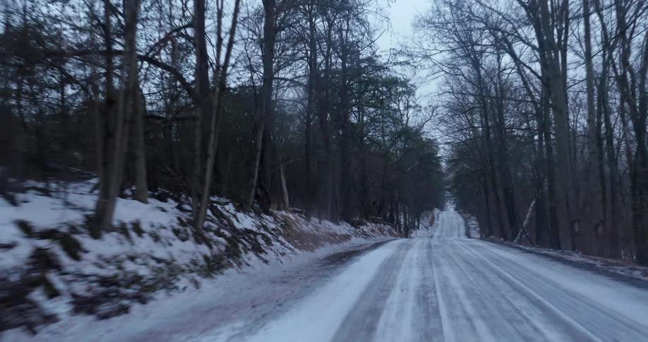 Snow covered road surrounded by trees