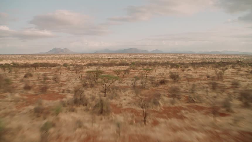 Trees and shrubs cover the open landscape