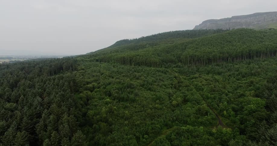 Green tree covered mountains