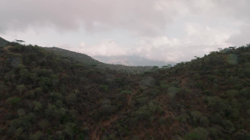 Clouds gather over tree covered mountains