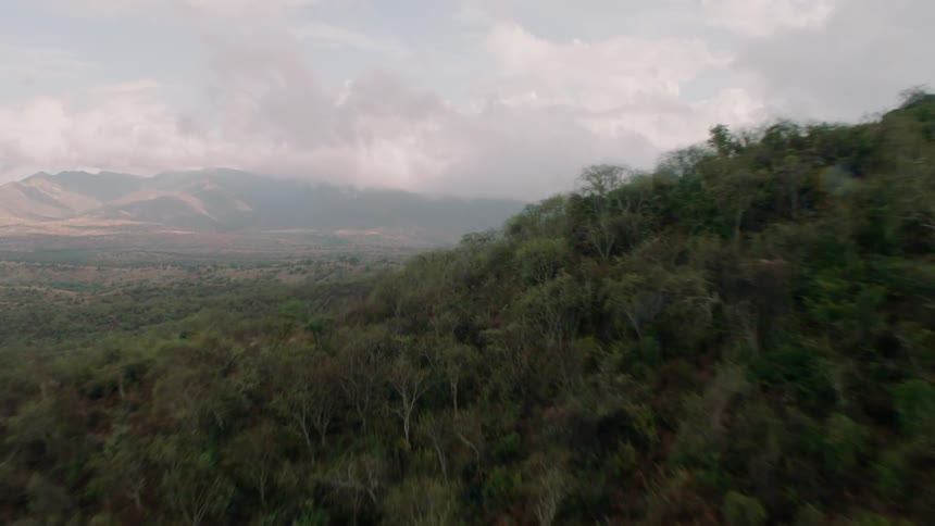 Flying over a tree covered hillside