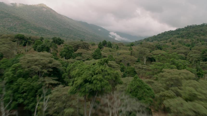 Dense tree covered hilly land with clouds rolling overhead