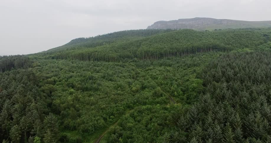 Vast hilly land covered in trees