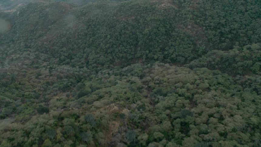 Trees cover the mountain landscape