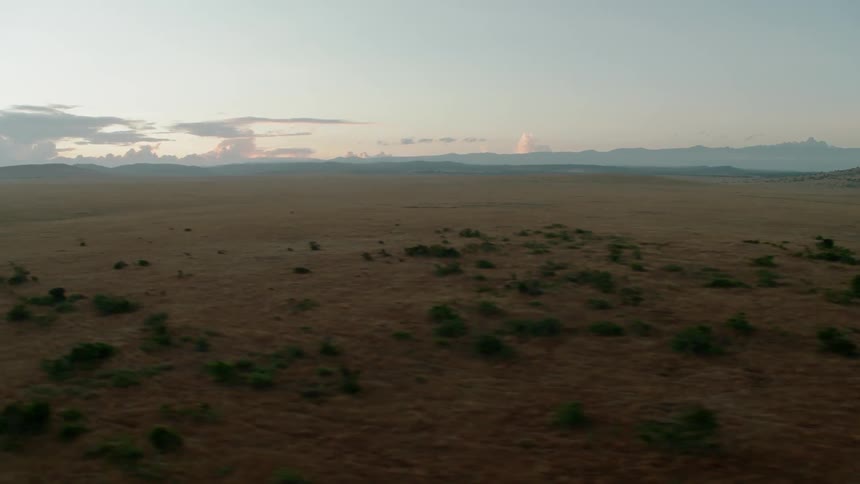 Flat plains with sparse brush covering it