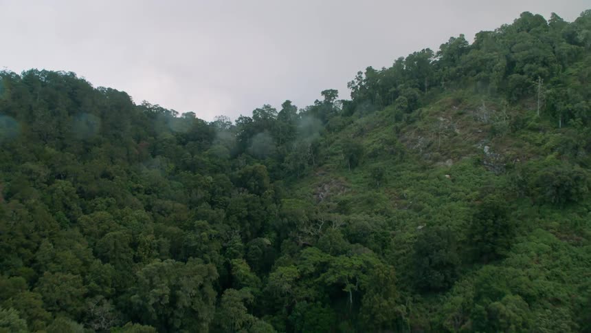 The hills are covered with dense trees on a rainy day