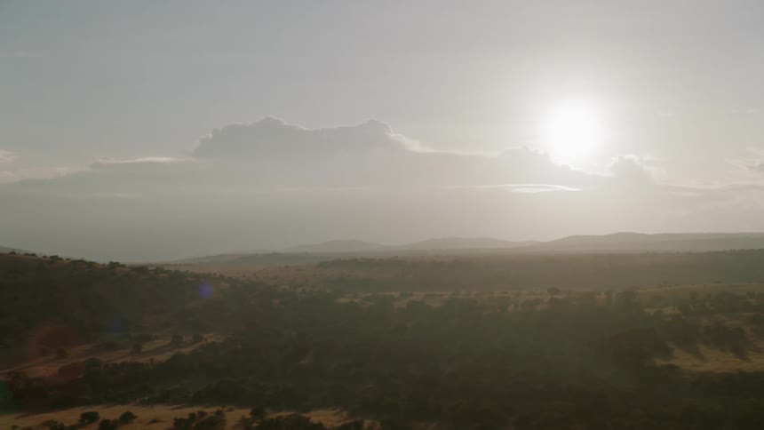 The sun shines down on a rural landscape