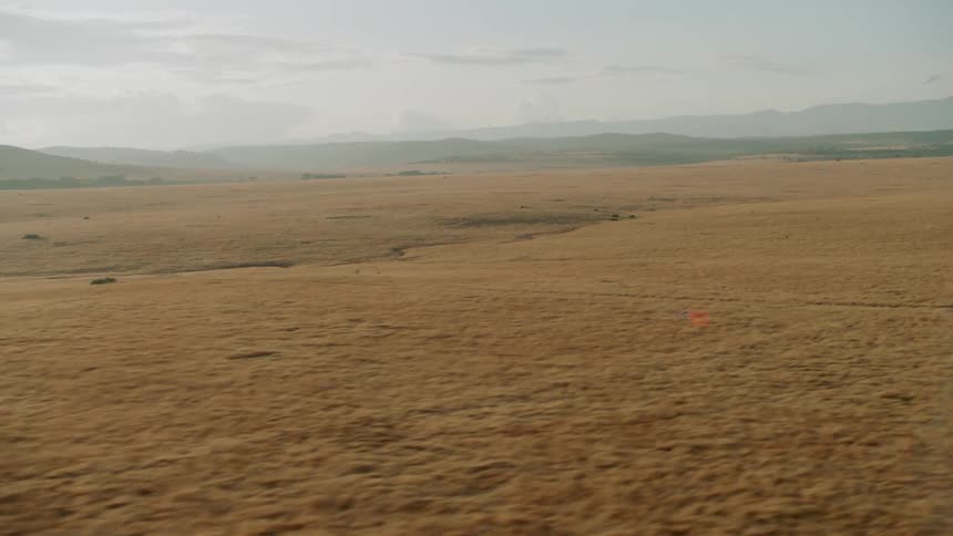 Traveling over expansive brown fields