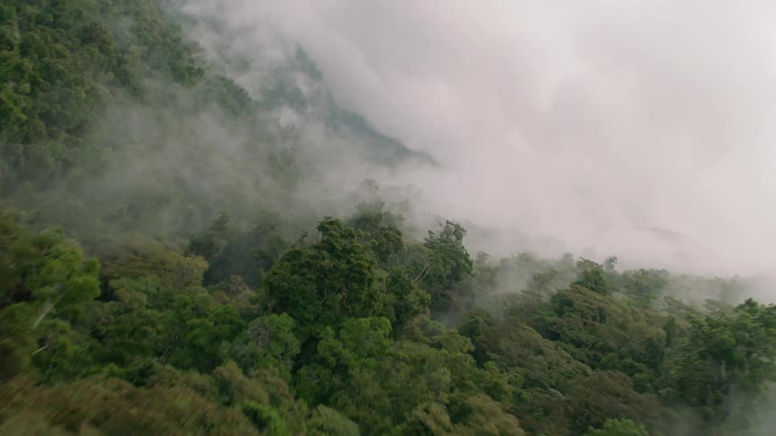 Clouds gather over tree covered mountains