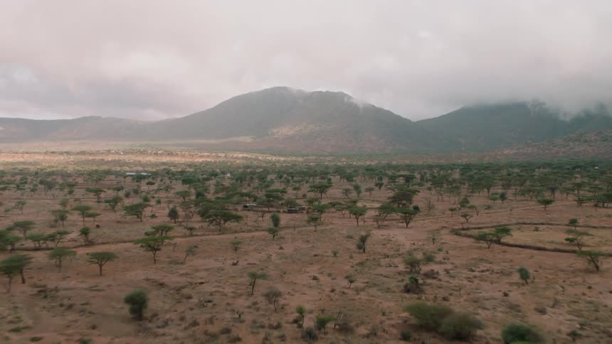 Trees and shrubs cover the landscape