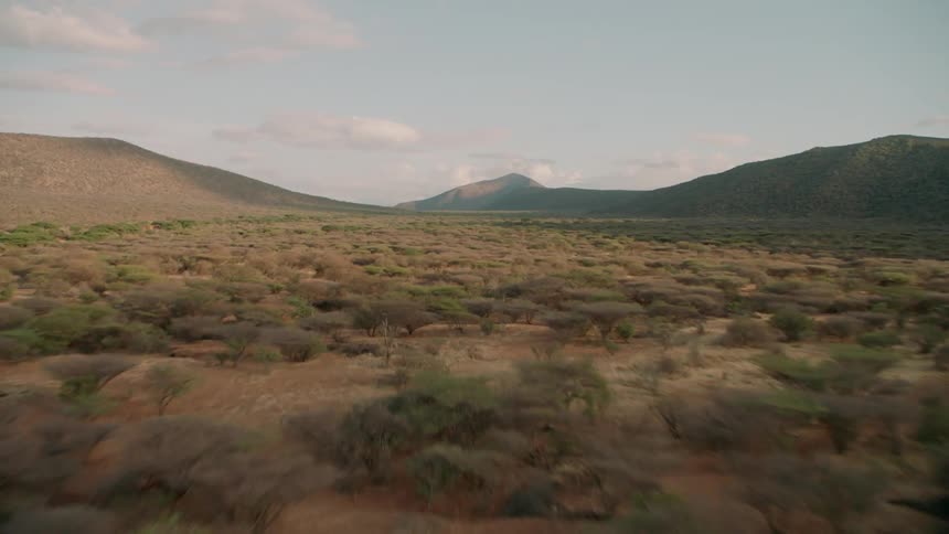 Shrubs and trees cover the landscape