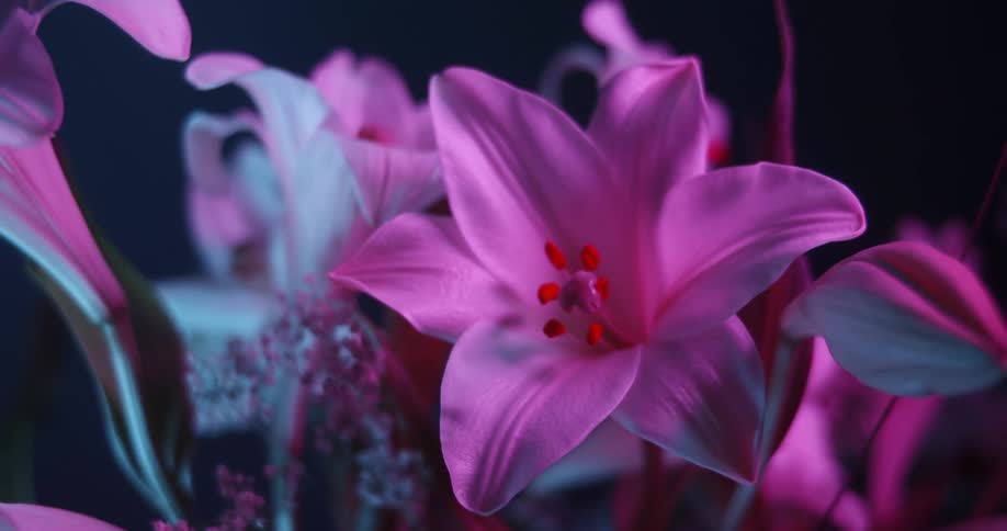 A bouquet of flowers is sitting in a room