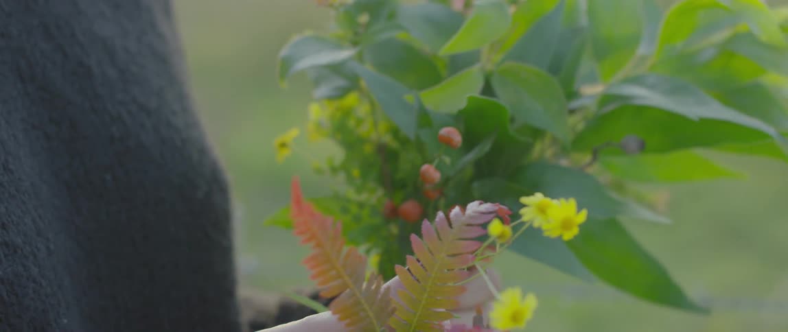 A person holding plants
