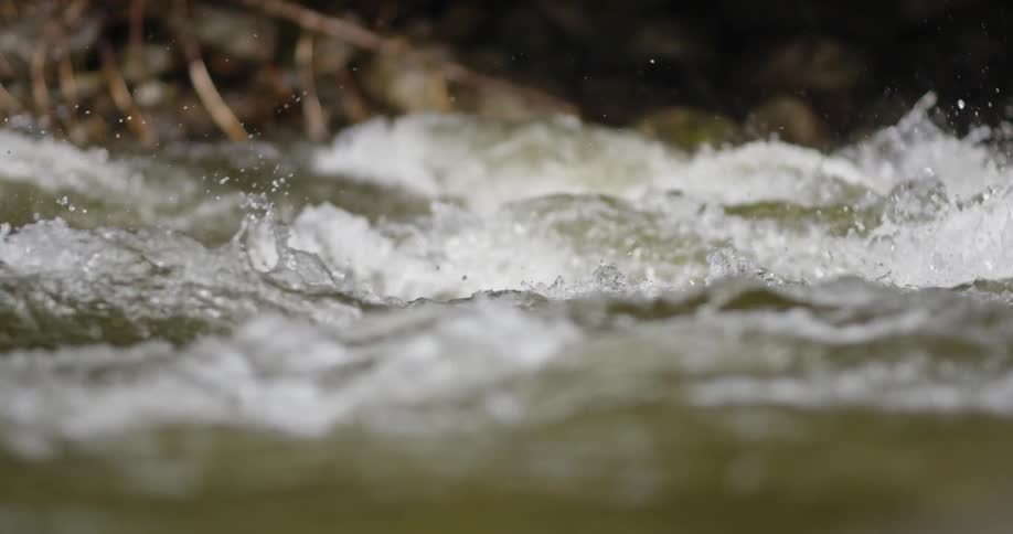 Small waves are breaking in a creek