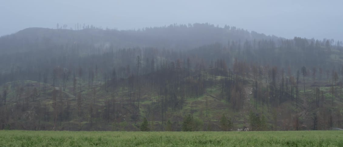 The fog is covering the hills ahead