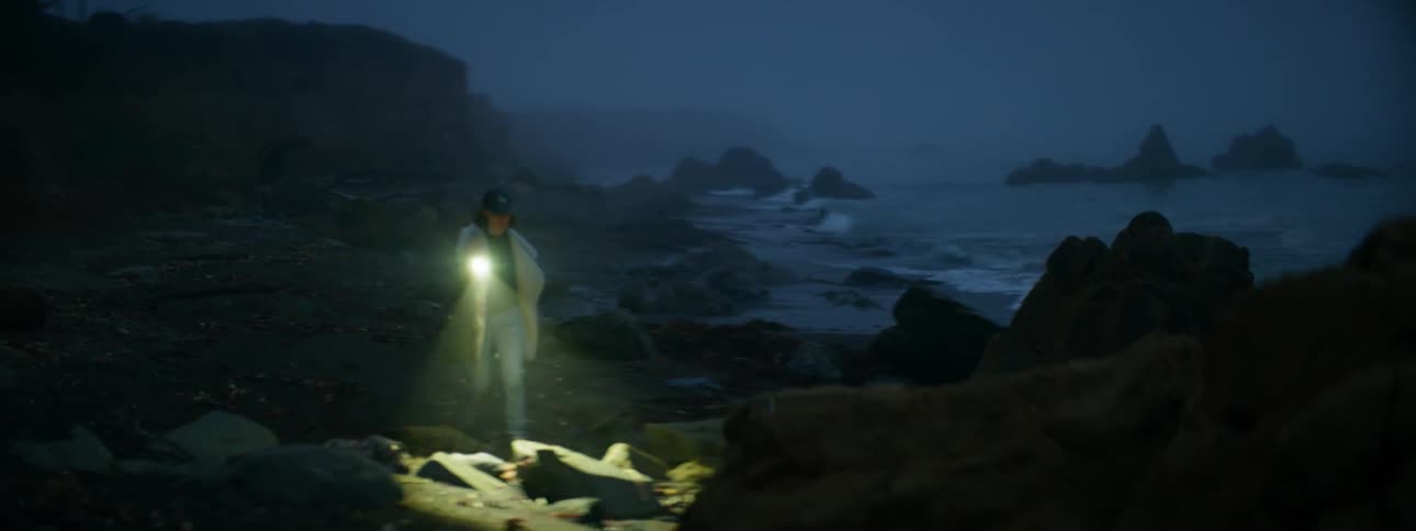 A person walks on the rocky shore with a flashlight
