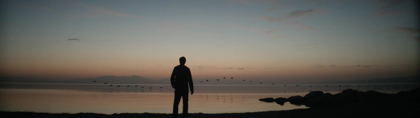 A man walks on the beach shore as birds fly in formation