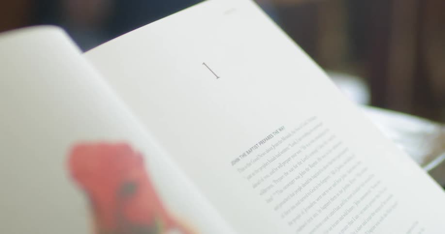 A person reads a book