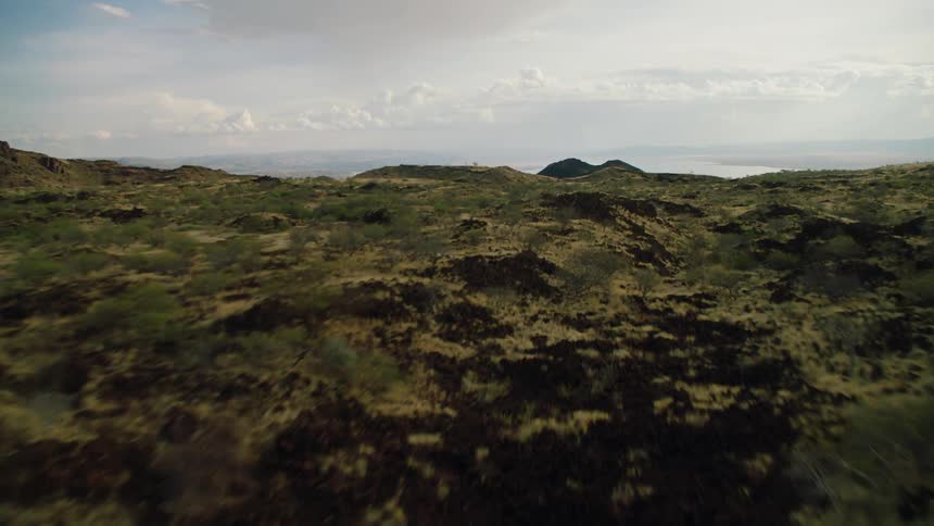 Grassy bush covered hilly land