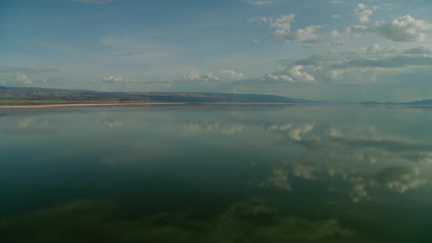 Birds fly over a still lake